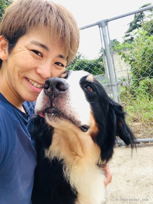 大瀧　徹也(おおたき　てつや)ブリーダー(新潟県・バーニーズ・マウンテン・ドッグなど・JKC登録)の紹介写真4