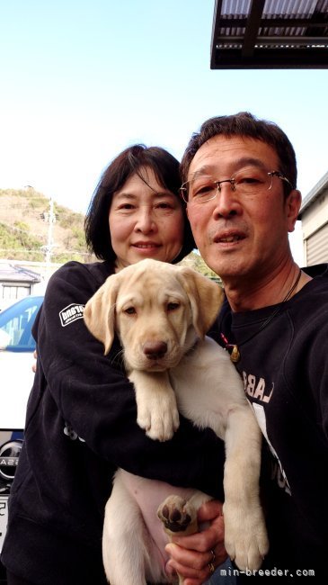 奥村聡ブリーダーのブログ：ラブラドールレトリバー子犬の旅立ち！！