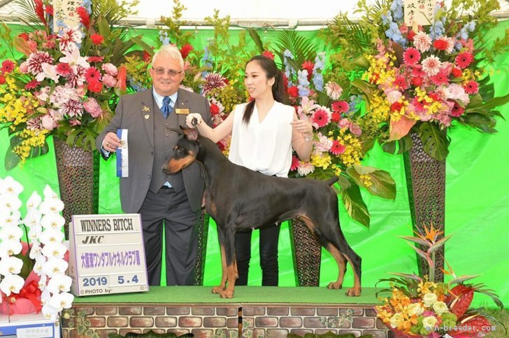 見事オーナーハンドラーにてウイナーズ受賞！！