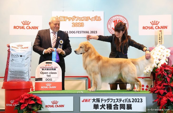 オープンクラス１ｓｔを受賞してチャンピオン完成にリーチです。