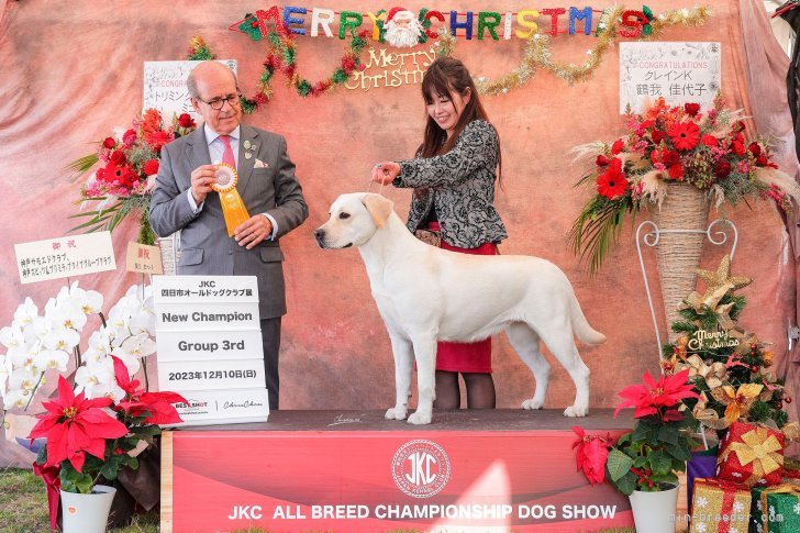 オープンクラスからエントリ―して見事ＢＯＢ,Group3rd受賞