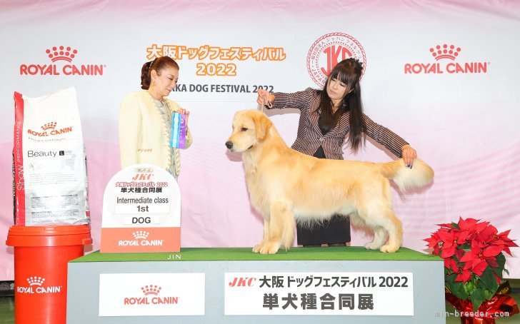 ゴールデンレトリバー【・男の子・2021年1月19日・ゴールド】「&quot;BUDDY&quot;」