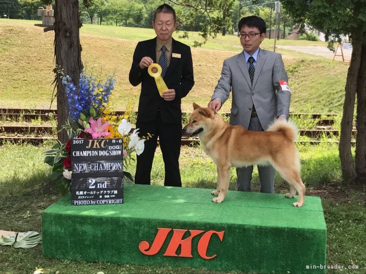 北海道犬、JKC5グループで3位でした この時ニューチャンピオンが完成しました。｜高橋　久吉(たかはし　ひさよし)ブリーダー(北海道・北海道犬など・JKC登録)の紹介写真1