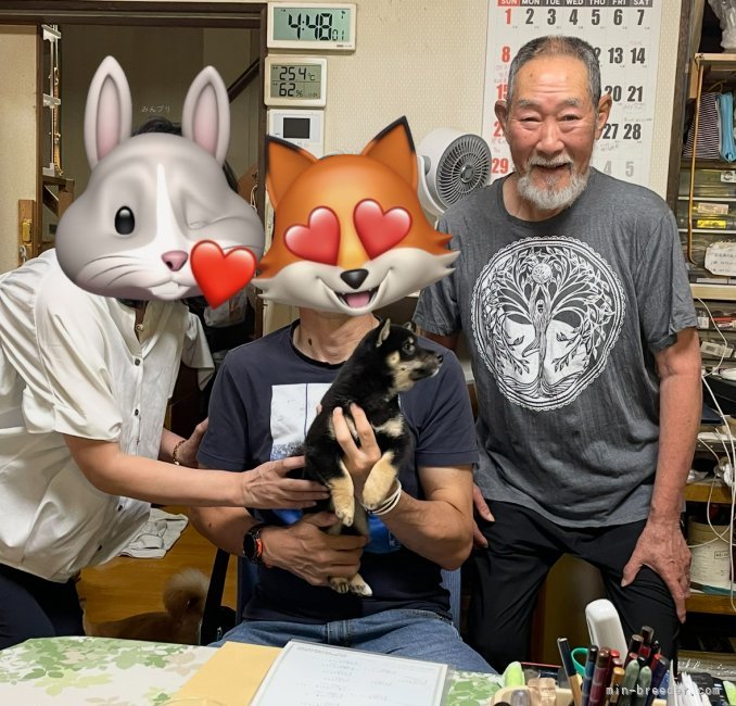 太田清信ブリーダーのブログ：素敵なご夫妻の家族になれました💕