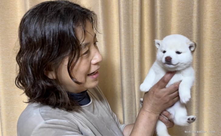 わんちゃん大好き一家です😊｜田中　健一(たなか　けんいち)ブリーダー(愛媛県・柴犬など・JKC登録)の紹介写真5