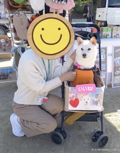 田中健一ブリーダーのブログ：イベントレポート✍️💕💕