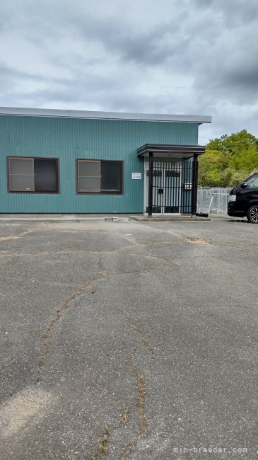 柴犬専門店　北陸最大級｜境川　弘(さかいがわ　ひろし)ブリーダー(石川県・柴犬など・JKC/日本犬保存会登録)の紹介写真2