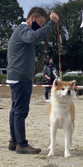 多田竜美ブリーダー