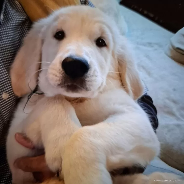 M.S 様のお迎えした子犬