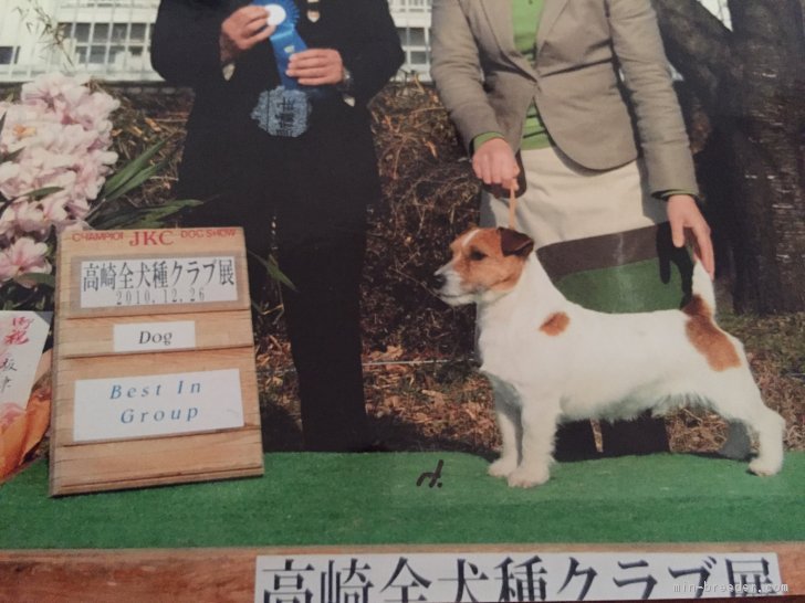 飯塚　一英(いいつか　かずひで)ブリーダー(福島県・ジャックラッセルテリアなど・JKC登録)の紹介写真1