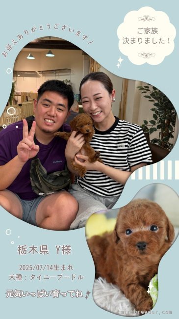 平ほの花ブリーダーのブログ：✨🐶ご家族が決まりました🐶✨