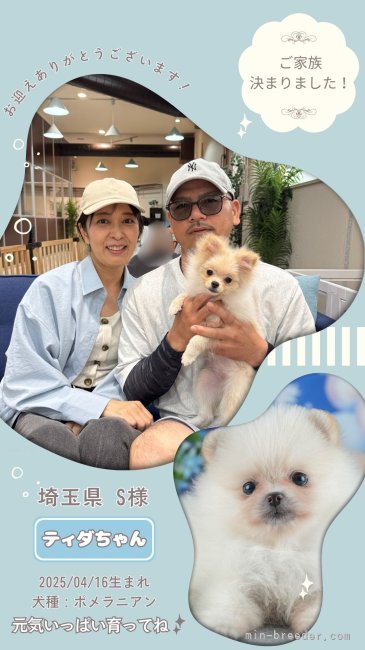 平ほの花ブリーダーのブログ：✨🐶ご家族が決まりました🐶✨