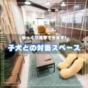 トイプードル(トイ)【埼玉県・女の子・2025年3月11日・レッド】の写真14「子犬と遊びながら対面できる、広々としたスペースでご案内します。隣にはお母さんたちのドッグランも🐶」