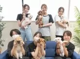 ポメラニアン【埼玉県・女の子・2024年12月9日・ウルフセーブル】の写真12「みんなわんちゃんが大好き💕大切にお世話している自慢の子たちを是非見に来てください☺」