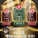 ミニチュアダックスフンド(ロング)【埼玉県・女の子・2025年5月9日・シルバーダップル】の写真15「🏆お客様評価ランキング🏆2期連続埼玉県全犬種1位🥇全国全犬種3位🥉受賞しました🎉✨」
