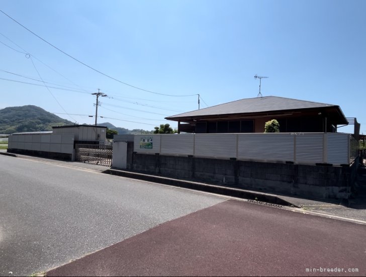 古い住宅を改修して造った犬舎です🏠｜川原　大貴(かわはら　だいき)ブリーダー(福岡県・柴犬など・日本犬保存会/KCジャパン登録)の紹介写真10