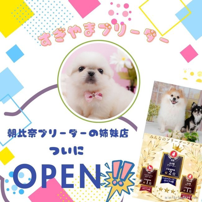 杉山晴菜ブリーダー