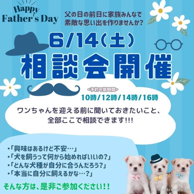 6/14(土)相談会開催🎉遊んで、ふれて、感じる相性💕お迎え前の不安解消に是非、来て下さい✨｜杉山　晴菜(すぎやま　はるな)ブリーダー(神奈川県・トイプードルなど・JKC登録)の紹介写真1