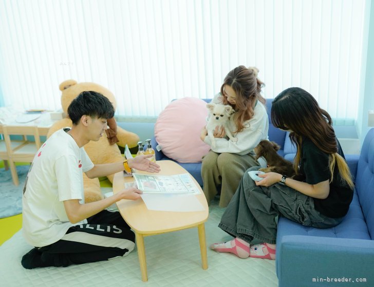 専門スタッフによる飼育説明を行っているので、初めての方も安心♪｜杉山　晴菜(すぎやま　はるな)ブリーダー(神奈川県・トイプードルなど・JKC登録)の紹介写真5