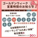 チワワ(ロング)【神奈川県・女の子・2024年8月12日・クリーム】の写真2「🧺ゴールデンウィーク期間中の営業について🧺毎日営業中です🎶」