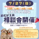 チワワ(ロング)【神奈川県・男の子・2025年4月30日・ブルータン&ホワイト】の写真3「🐾7/27開催🎉初めてでも大丈夫！迎える前の不安、全部相談OK✨」