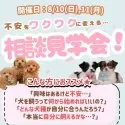 チワマル(マルチーズ×チワワ)【神奈川県・女の子・2025年4月28日・ホワイト】の写真2「8/10・11開催✨「犬を迎えるのが不安…」を安心に変える2日間🎈🐶」