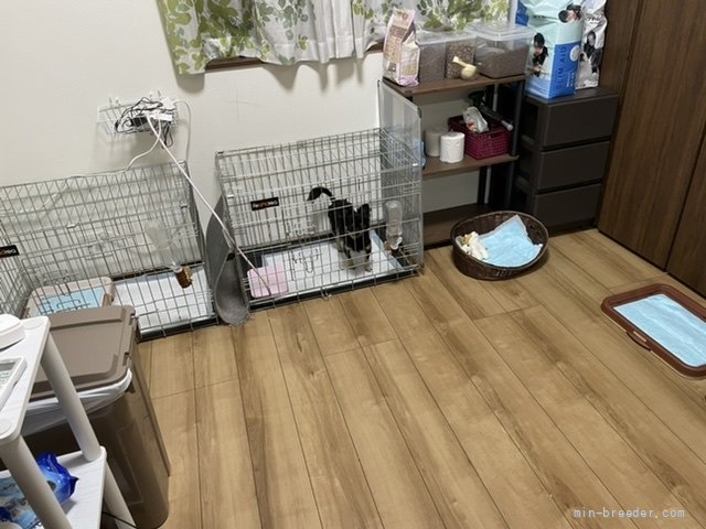 高山恵子ブリーダー