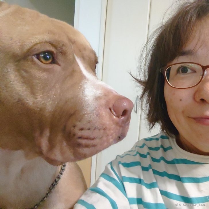 三木有紀ブリーダー