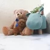 タイニープードル