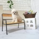 タイニープードル