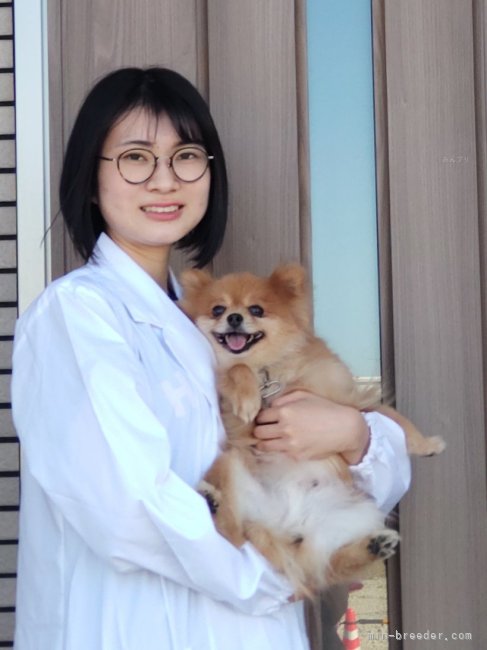 野村美智代ブリーダー