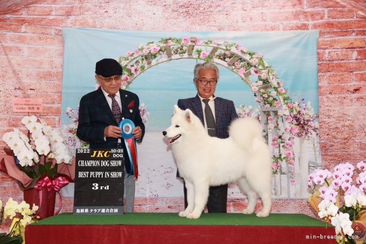 西浦明日香ブリーダーのブログ：デネブ再びBest In Show入り🎖