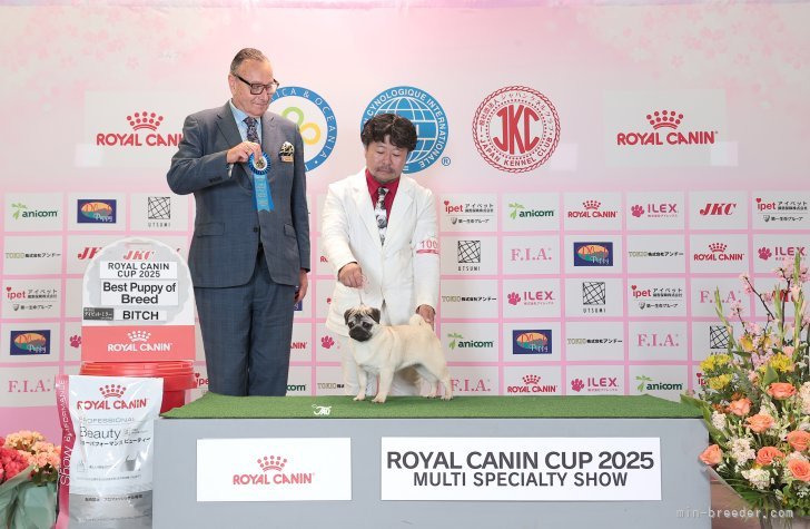 甲斐　健太郎(かい　けんたろう)ブリーダー(大分県・パグ・JKC登録)の紹介写真6