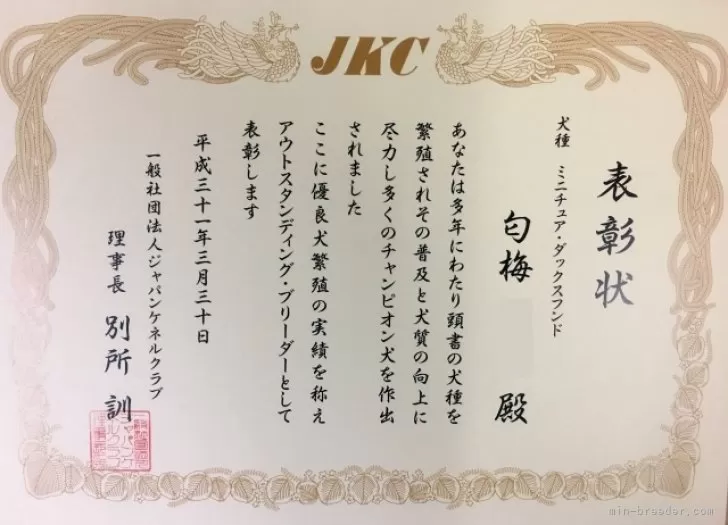 ミニチュアダックスフンド(ロング)【兵庫県・男の子・2025年3月 ミニチュアダックスフンド(ロング)【兵庫県・男の子・2025年3月