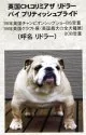 ブルドッグ【北海道・男の子・2025年6月9日・ホワイト&レッド】の写真3「当犬舎は98年英国NO.1犬リドラーを基礎犬に繁殖しておりブルドック普及のため格安で分譲いたします。」