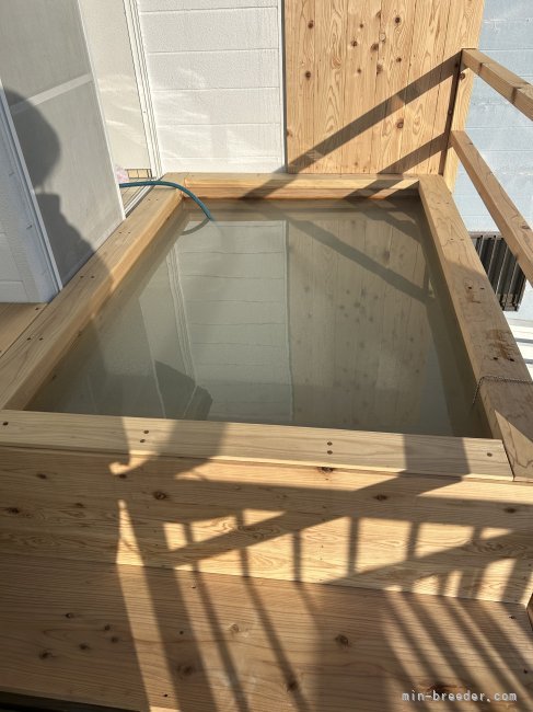 犬専用　温泉施設完備｜中野　希光子(なかの　きりこ)ブリーダー(鹿児島県・ゴールデンレトリバーなど・JKC登録)の紹介写真6