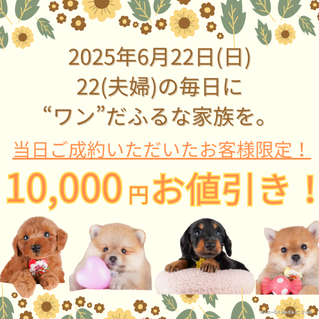 鈴木愛ブリーダー