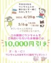 シーズー【東京都・男の子・2025年3月6日・ホワイト&ゴールド】の写真6「この機会に是非ご見学にお越しくださいませ🌈」