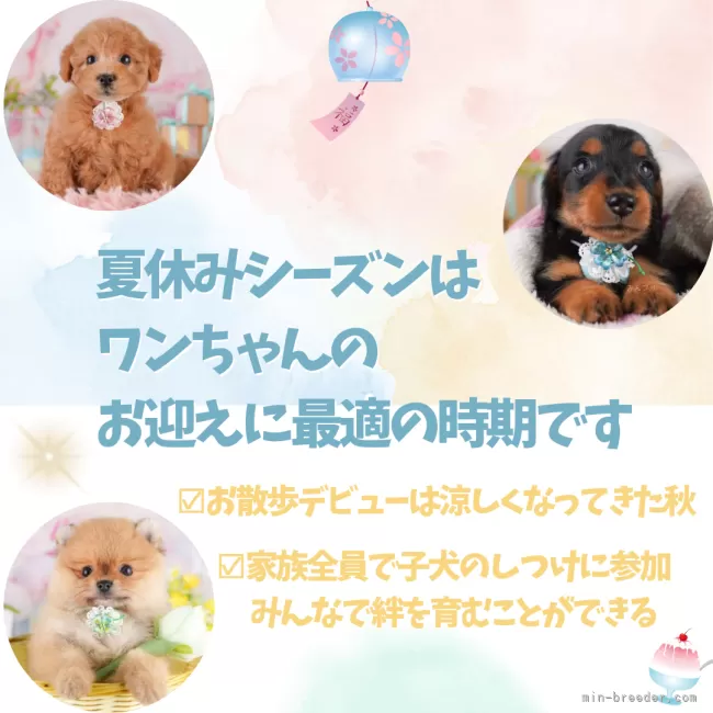シーちゃん(プロフィール一必須)様 リクエスト 2点 まとめ商品 SPちゃん合金PARTS❤️（1個） | 福之助.partsSHOP