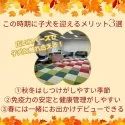 チワプー(チワワ×トイプードル)【東京都・男の子・2025年7月31日・アプリコット】の写真2「今の時期時はお迎えにピッタリ！私たちはワンちゃんに寄り添ったご案内を心掛けています🎵」