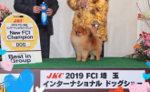 ポメラニアン【・男の子・2018年5月4日・オレンジセーブル】「INT.CH　ジュピター」