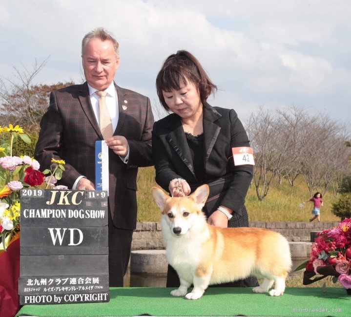 2日連続してのWDの評価を頂きました。