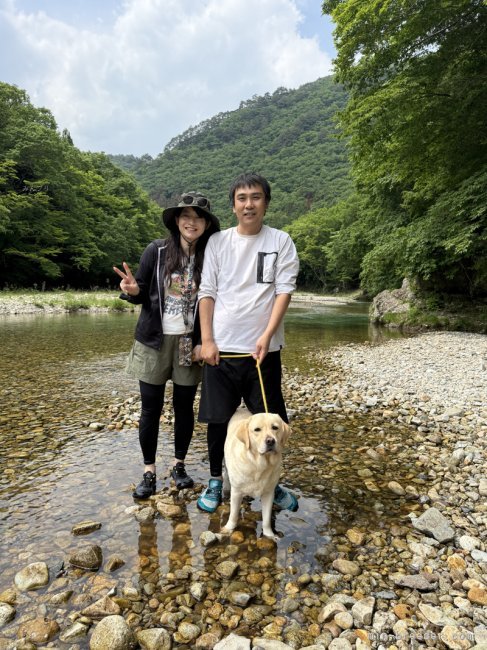 白石哲ブリーダーのブログ：川遊び