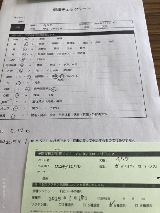 中村秀敏ブリーダーのブログ：百聞は一見に如かず