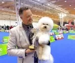 ビションフリーゼ【宮城県・男の子・2025年3月25日・ホワイト】の写真4「父犬:ヨーロッパ2カ国チャンピオン。」
