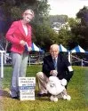 タイニープードル【宮城県・女の子・2021年5月24日・クリーム】の写真5「父:アメリカチャンピオン」