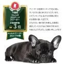 フレンチブルドッグ【千葉県・男の子・2025年3月28日・ブルーマール】の写真10「お客様ランキング3位！有難う御座います🎵」
