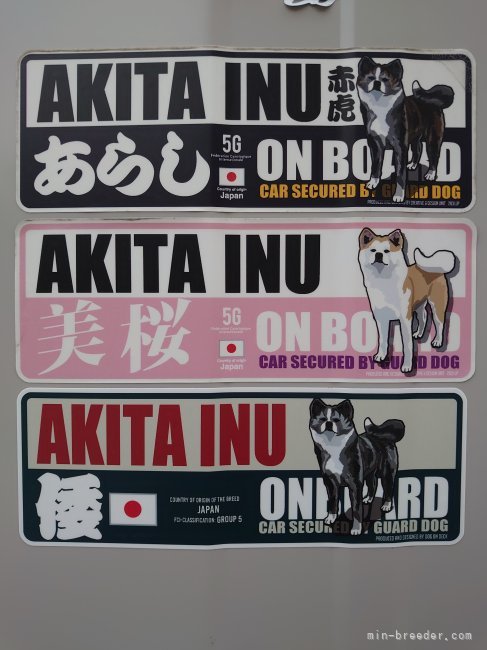 沢田　忠明(さわだ　ただあき)ブリーダー(長野県・秋田犬・秋田犬保存会登録)の紹介写真5