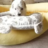 タイニープードル