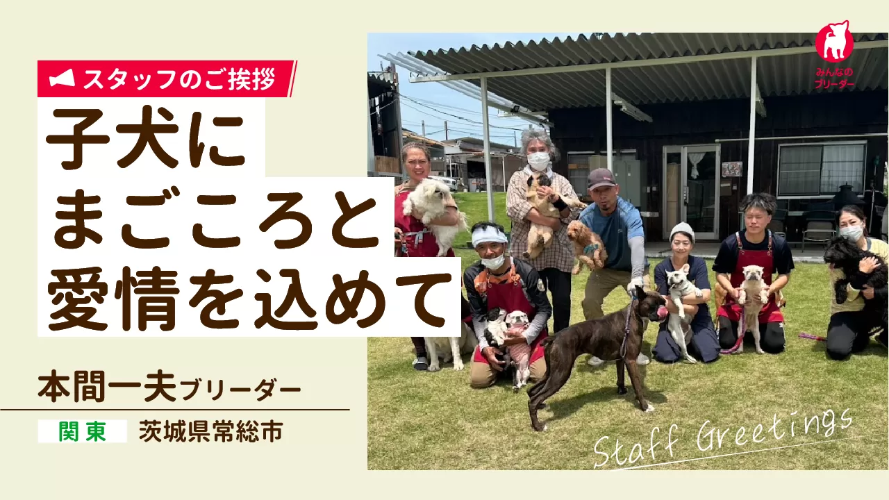 スタッフ紹介の動画